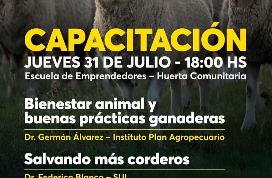 Capacitación ovina Flores 2025