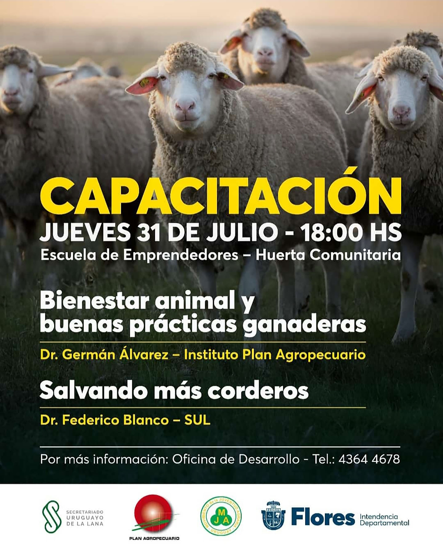 Capacitación ovina Flores 2025