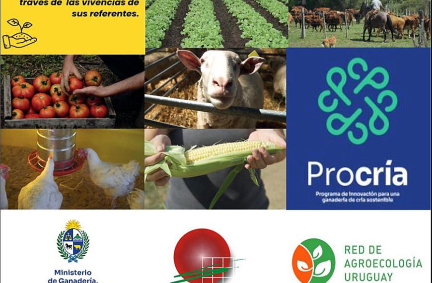 Agroecología y PROCRIA en Mesa de Colonia