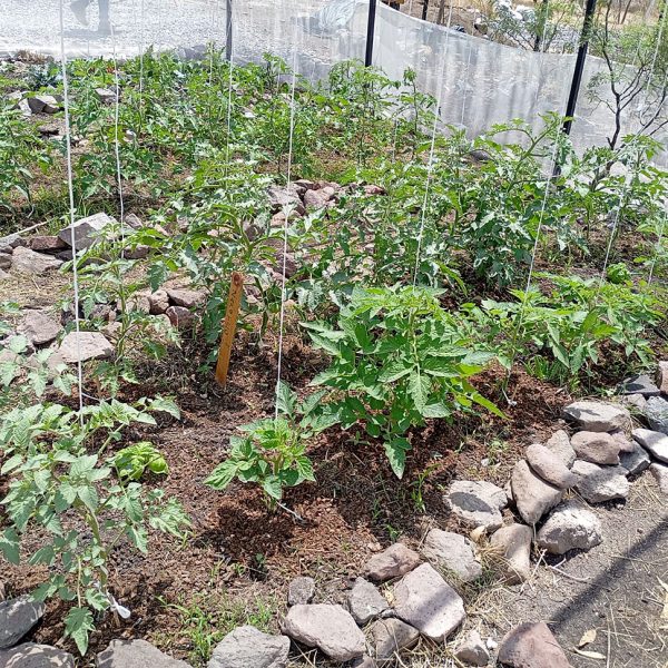 Valle Las Nubes – escuela agraria