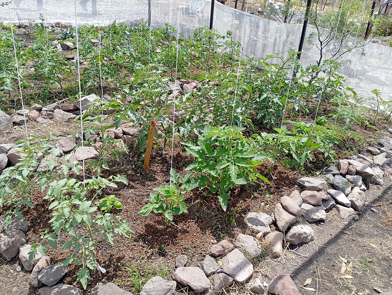 Valle Las Nubes – escuela agraria