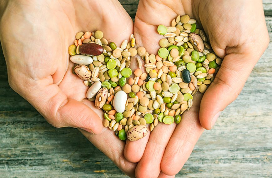 Semillas diversas representando la biodiversidad agrícola y la soberanía alimentaria