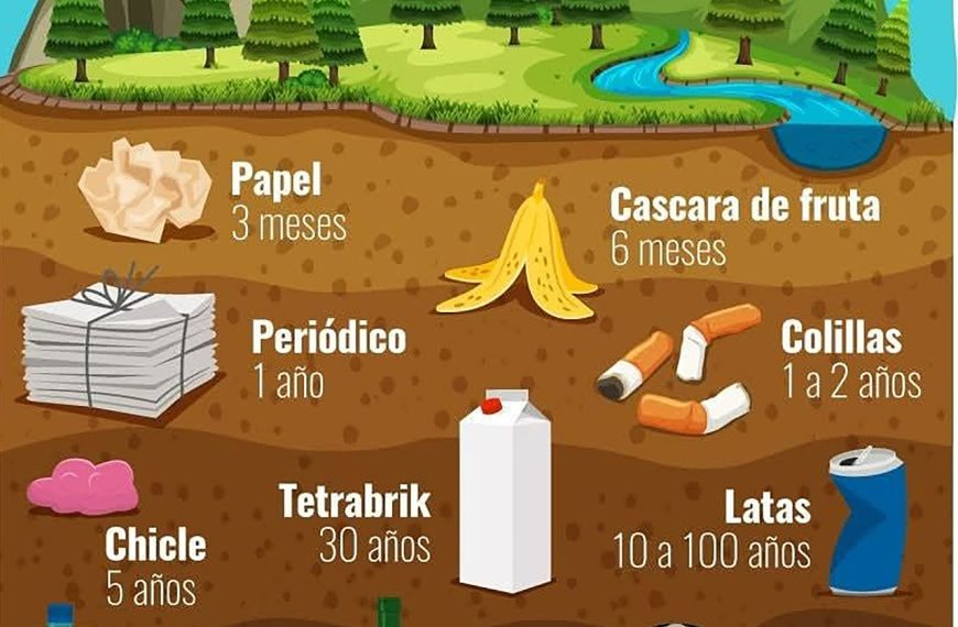 Residuos Cuánto tarda basura degradarse